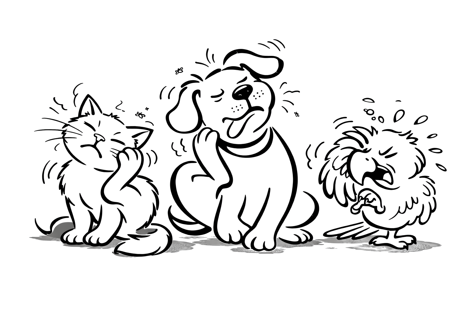 TrioFungi